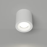 Lumina Ceiling Light