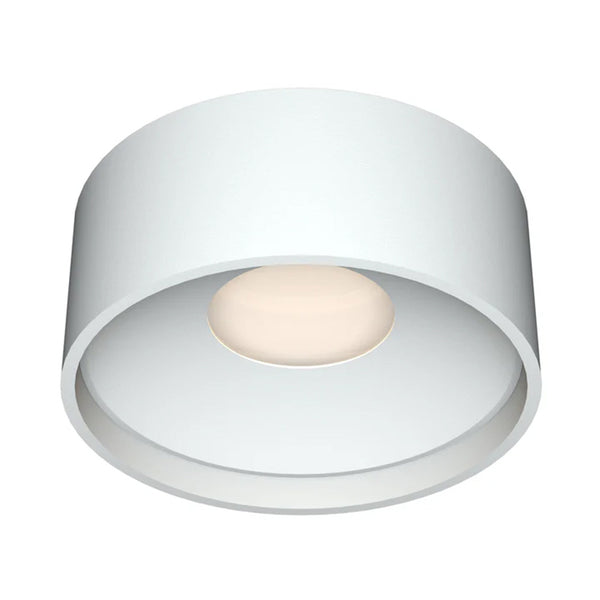 Flat Ceiling Light