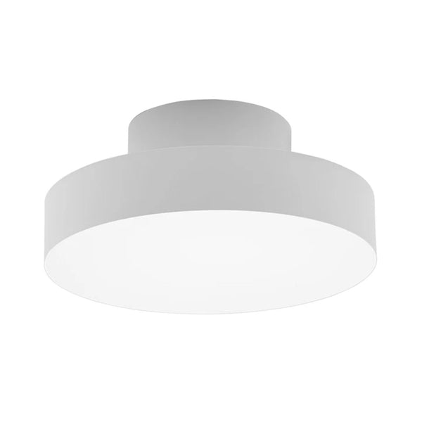 Luna Adjustable Ceiling Light