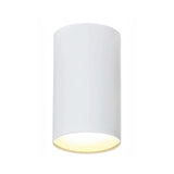 Zuka Ceiling Light