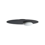 Kwic Wall & Ceiling Light