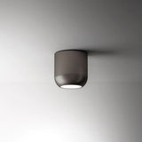 Urban Ceiling Light