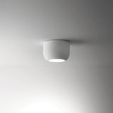 Urban Ceiling Light