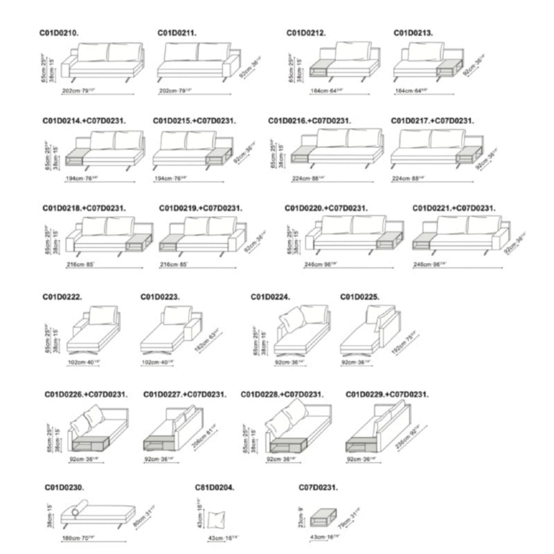 Wake Sofa - Two Seater Sofa (C01D0204)